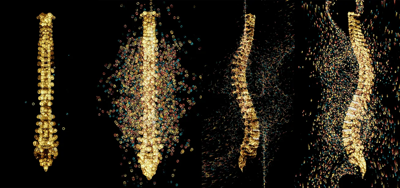 Spine