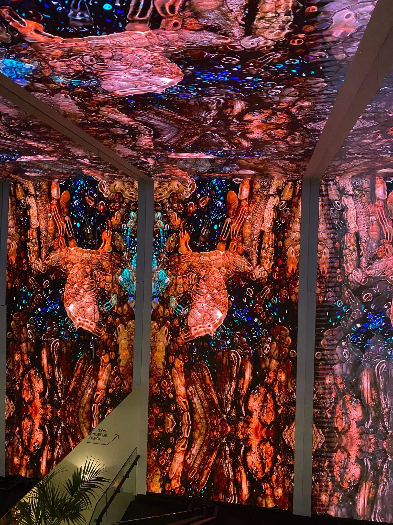 Hollow Installation Stay Hotel