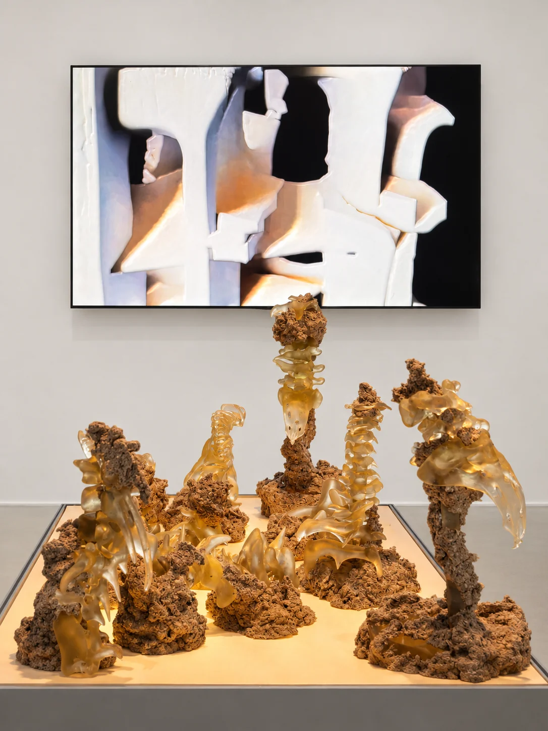 Symbiotic Vault — Cotton and resin sculptures